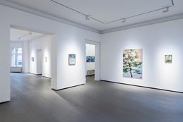 Ausstellungsansicht Claus Georg Stabe, unmemory, REITER | Berlin 2026