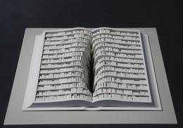 &raquo;Livre&laquo; 2011, Mischtechnik, 16 x 31 x 24 cm