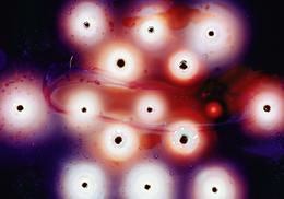 James Nizam »Drill Holes Through Film Canister 2« 2012, archival pigment print, 91 x 76 cm
