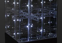 Guillaume Lachapelle »The Cell« 2013, 3d print, 30 x 30 x 30 cm