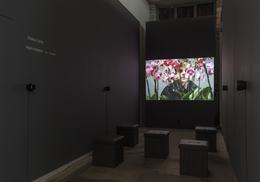 Thomas Taube »Dark Matters« exhibition view