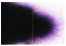 Helena Petersen » Pyrographie colour XXXIII« 2014