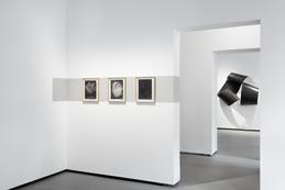 &raquo;passing&laquo; Ausstellungsansicht REITER | Berlin prospect
