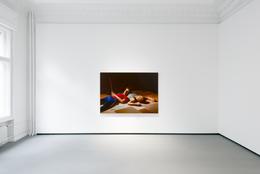 »Bilder von Tatsachen« exhibition view 2018 REITER | Berlin prospect
