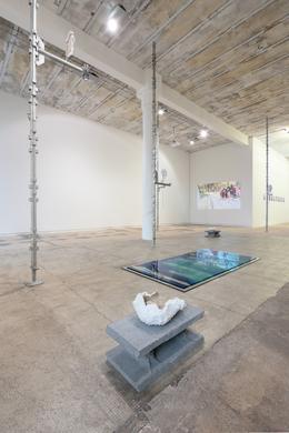 Ausstellungsansicht &raquo;House of bone body of stone&laquo; 2018 . REITER | Leipzig