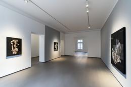 Ausstellungsansicht . Sebastian Schrader &raquo;useless light&laquo; 2021 . REITER Berlin