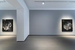 Installation view . Sebastian Schrader &raquo;useless light&laquo; 2021 . REITER Berlin