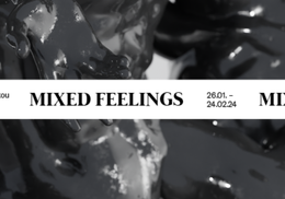 Preview zur Ausstellung &raquo;MIXED FEELINGS&laquo; mit Christian Holze, bei Galerie Stephanie Kelly