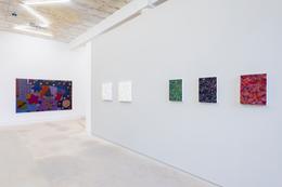 exhibition view Carsten Goering, Andoya, REITER | Leipzig 2026