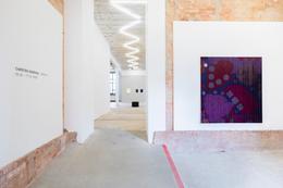 exhibition view Carsten Goering, Andoya, REITER | Leipzig 2026